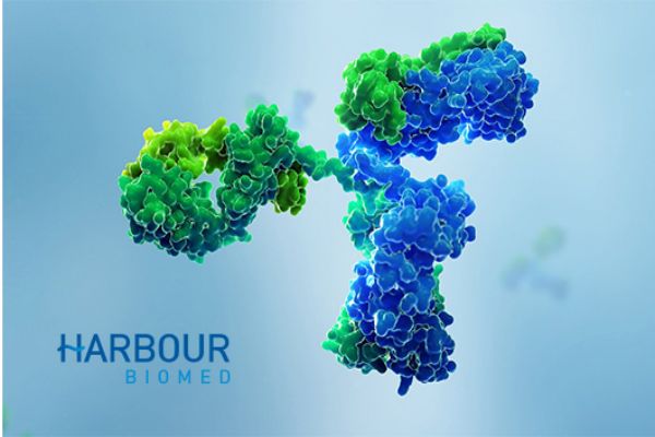 成功網(wǎng)站建設(shè)案例分享:學(xué)習(xí)行業(yè)領(lǐng)先者的經(jīng)驗(yàn) 成功網(wǎng)站建設(shè)案例分享:學(xué)習(xí)行業(yè)領(lǐng)先者的經(jīng)驗(yàn)