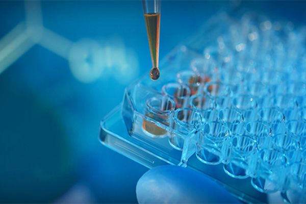 打造個人網頁，吸引更多目光！