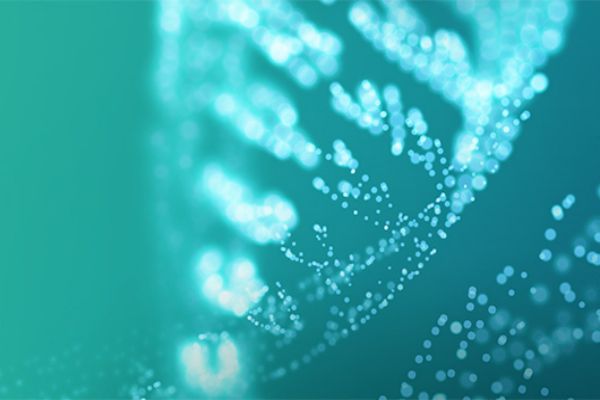 青年視角下的旅游網(wǎng)站構(gòu)建：理解、經(jīng)驗與感受分享