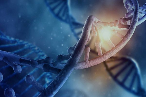 網(wǎng)頁設(shè)計經(jīng)驗分享:塑造企業(yè)形象與業(yè)務(wù)拓展的關(guān)鍵