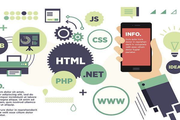 B2B網(wǎng)站模板，服務(wù)類型，B2C網(wǎng)站好用的收費