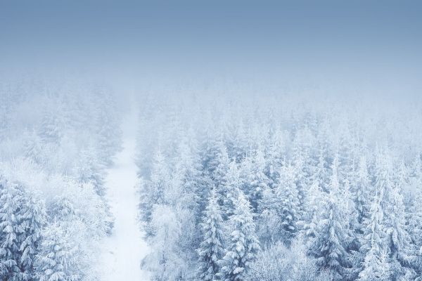 高端網(wǎng)站建設(shè)：結(jié)構(gòu)優(yōu)化攻略